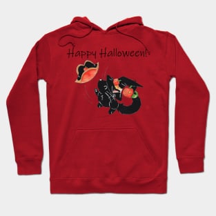 Halloween Hats (With Text) Hoodie